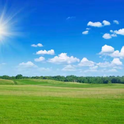 教学比武展风采，同台竞技促提升——柳林河小学活力课堂大比武