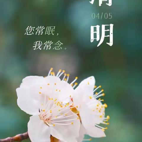 清明节