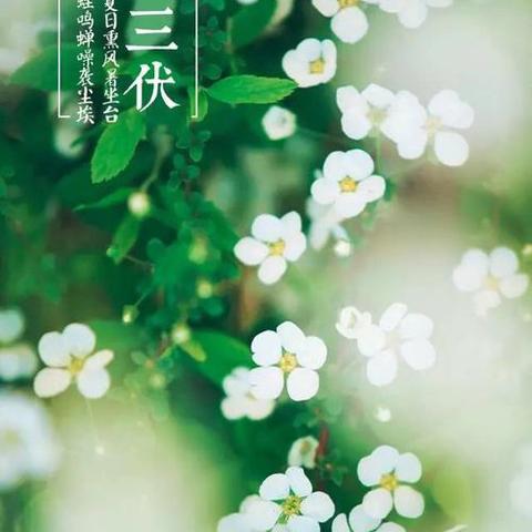 和润物业--城市理想七月工作简报