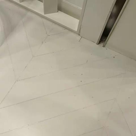 2023年11月27日一楼巡场汇总