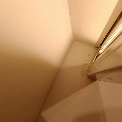 2023年12月1日一楼百货巡场汇总