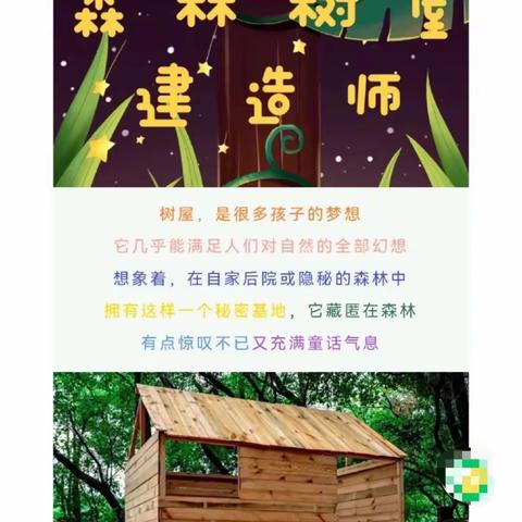 我是小小森林建造师