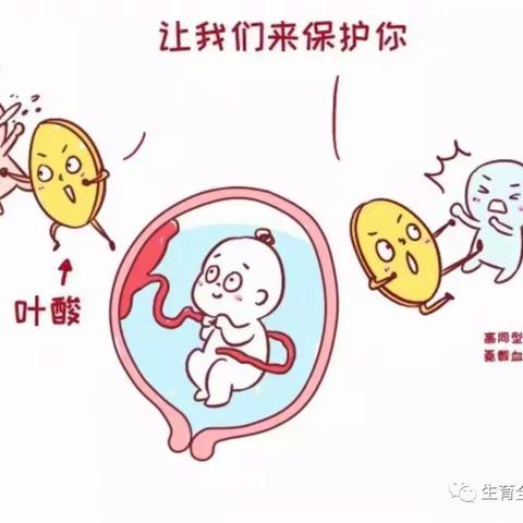 临洮县妇幼保健院温馨提醒您：如何正确补充叶酸及常见问题的解决方法！