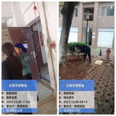 中天国际三期盈翠苑物业服务2023年9月简报