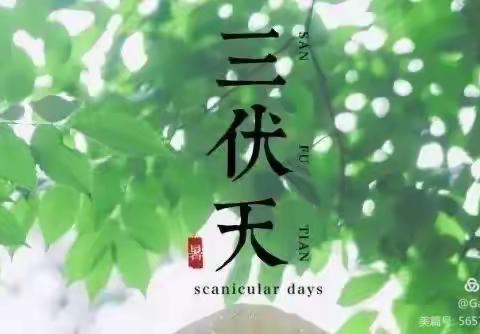 【重要提醒】 2022荆门市康复医院中西医结合科三伏贴时间表来了！拔除陈年旧疾就看这一战！