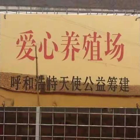 公益助农与乡村振兴