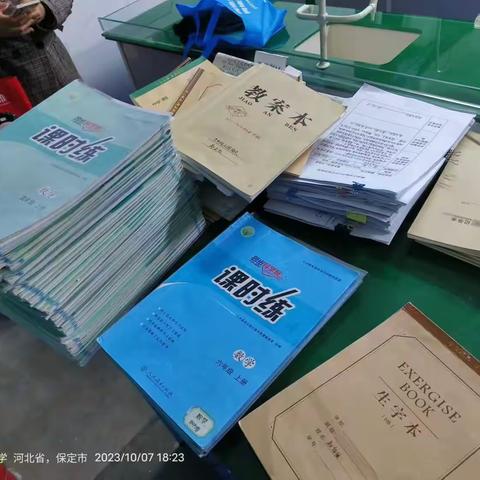 夯实常规 以查促教——寨南小学开展教学常规检查