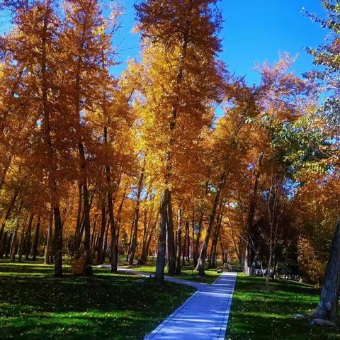 2023届11班学子双节拾贝集（原创好句、好段）