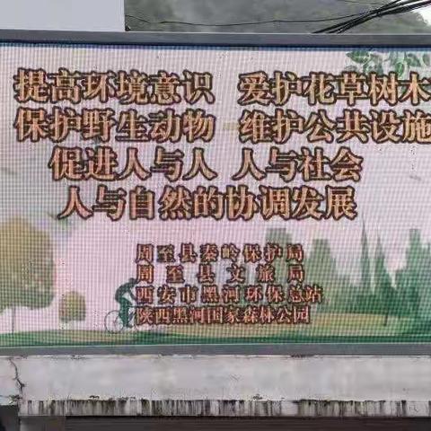 沙梁子、厚畛子分站本周工作动态