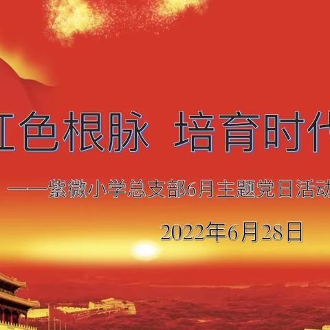 庚续红色根脉 培育时代新人 ﻿ ——海宁市紫微小学党总支6月主题党日活动