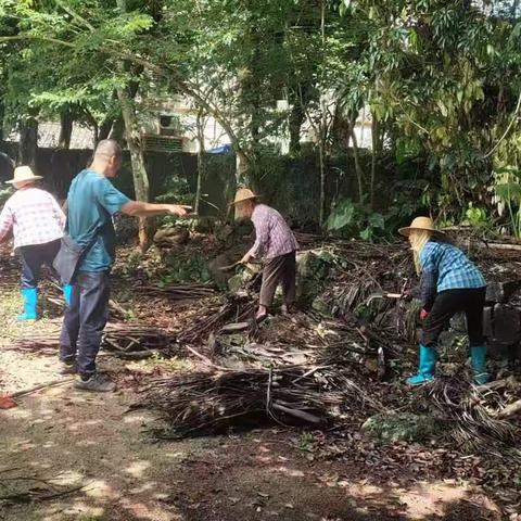 区里下村查看文明户和文明村情况