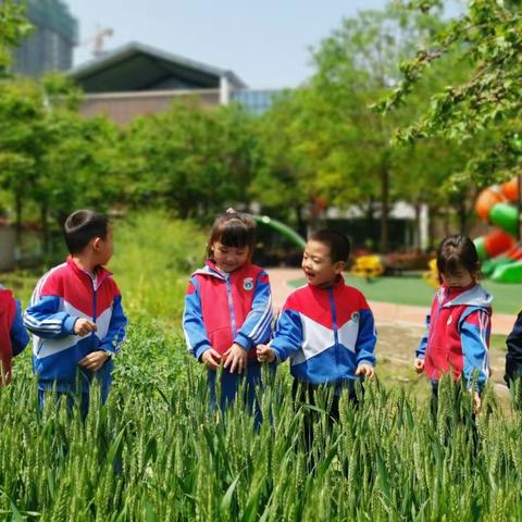 共赴·春日美好~🚲🚲🚲中二班第十二周精彩回顾