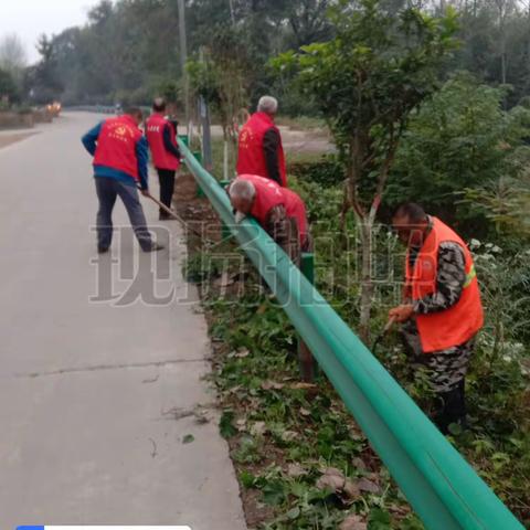 打造我们共同的美好陈淋