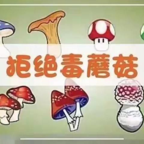 乾城三智幼儿园——“预防野生蘑菇中毒”防控知识宣传