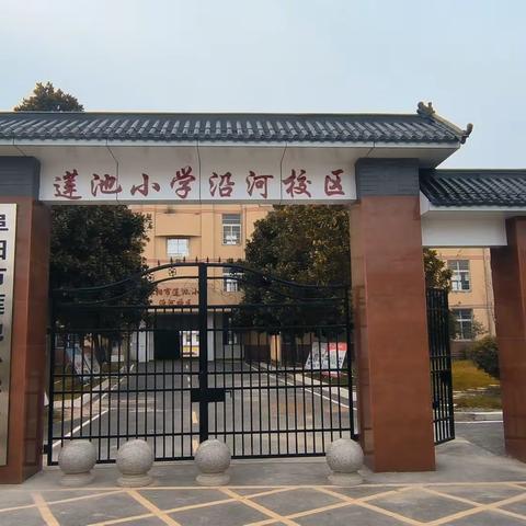 莲池小学沿河校区劳动实践基地开种啦！