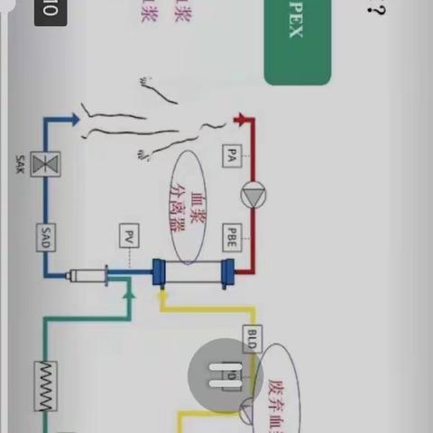 净化血液，还你健康