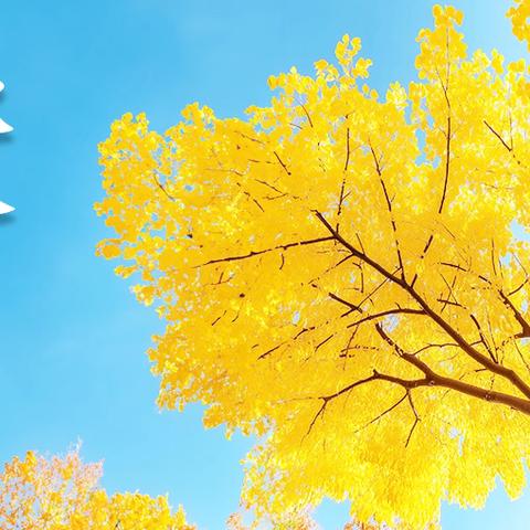 大三班美好小记录