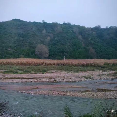 秋雨如诗，我们初来酒房镇的时光