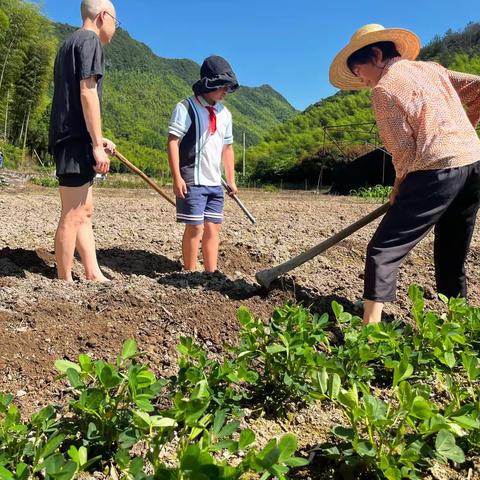 劳动创幸福，实践助成长！                     武川小学五（1）班彩虹中队