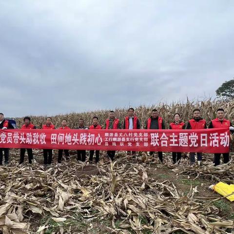 “党员带头助秋收 田间地头践初心”——工行宝鸡麟游县支行开展主题党日活动