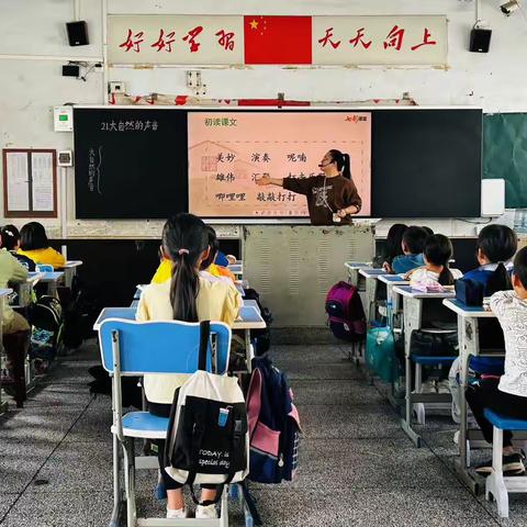 语文组何京老师《大自然的声音》公开课