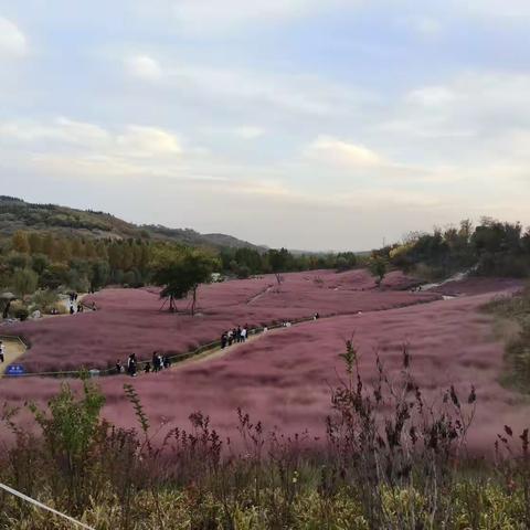 今天是我们班活动课，我们和85班，还有76班一起去了紫山和紫山公园