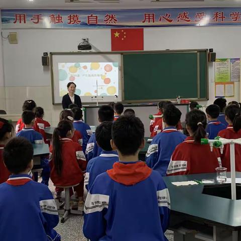 赋能启航，勤耕致远——科学教研员深入陵园小学教研纪实