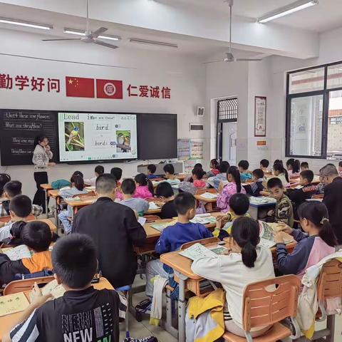 教研领航促成长，凝心聚力拓新程—记2023年秋季宁远十三小综合组新进教师汇报课