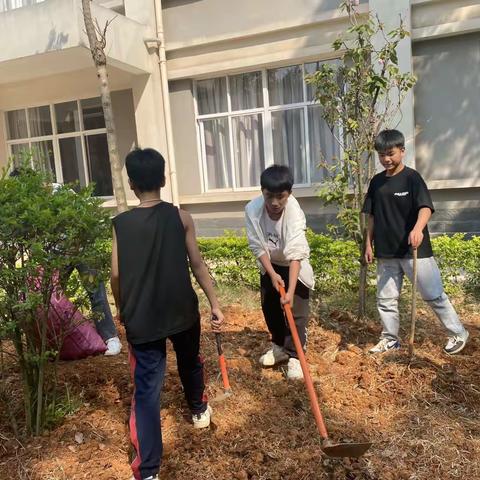 劳动成就梦想——记录个旧十八中九（4）班劳动教育基地实践活动