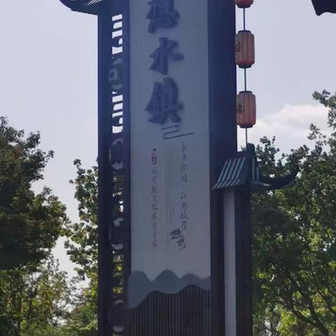 游 乐 片 花