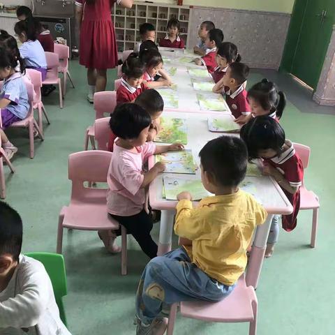 🎬镜头下的成长🍀爱丽尔中二班第19周日常