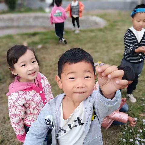 【分享】：天冷了，为何还让幼儿参加户外活动？