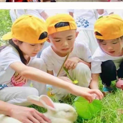 我和秋天有个“约会”