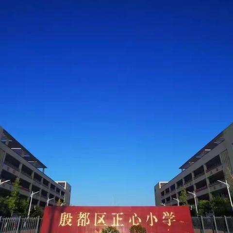 金秋采摘品甜蜜  一草一木皆育人——殷都区正心小学劳动实践活动