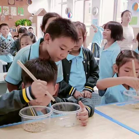 “小筷子🥢，大智慧”—— 实验小学一(12班)夹豆豆比赛