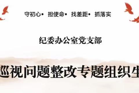 【大同分行纪委办公室党支部】中央巡视整改专题组织生活会