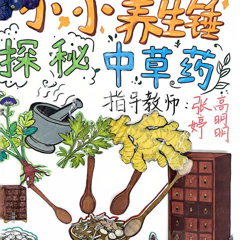 【无界学习向未来】小小养生锤，探秘中草药 浑南八校四年四班