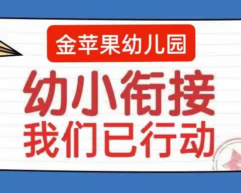 金苹果幼儿园“幼小双向科学衔接，我们在行动”总结感悟