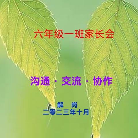 分享花开的声音