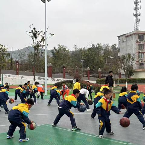 蜀河镇中心学校低段篮球社团简介