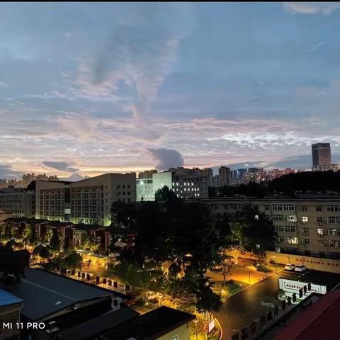 鲜衣怒马少年时，不负韶华行且知——雨金中学数字联盟社团活动记录