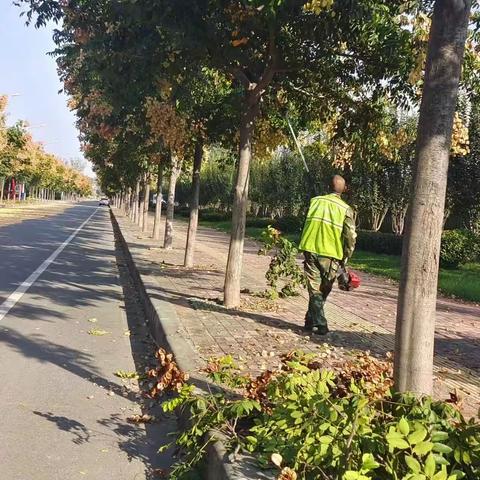 开发区园林处：下足“绣花”功夫，做好“精准”养护