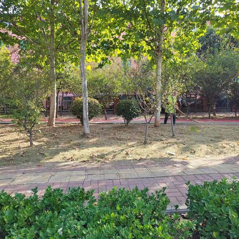 开发区园林处：寒风瑟瑟“落叶季”  园林工人清扫忙