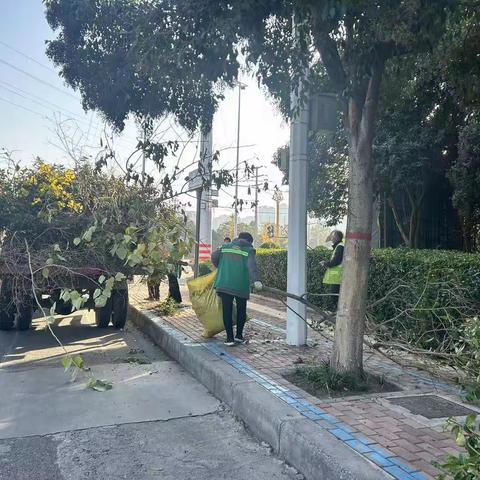 开发区园林处：冬季养护再升级 增强苗木抵抗力