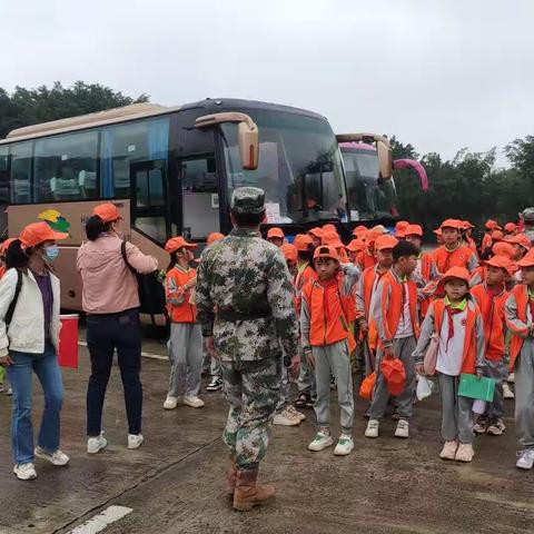 探索电影的奥秘与花的海洋：一场别开生面的研学之旅