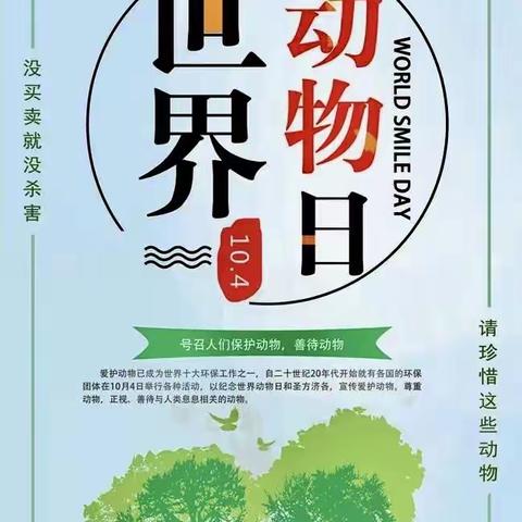 “世界动物日”你了解吗？———联盟路小学二（7）中队“世界动物日”主题教育活动