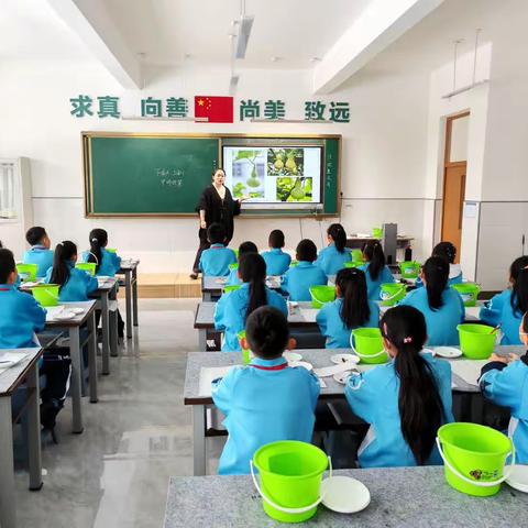 青春有我   芳华初绽———长青小学举行青年教师汇报课活动