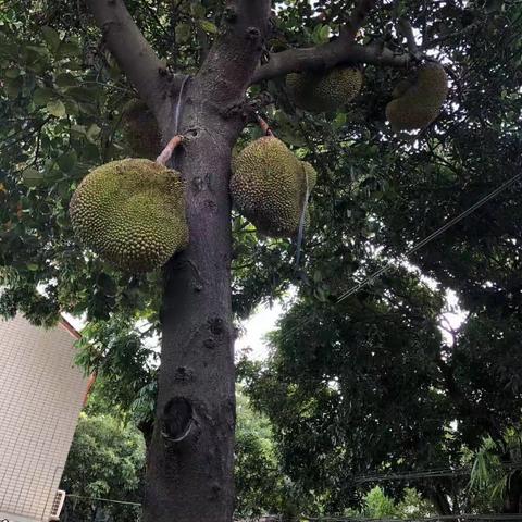 刘钰洁的生物做作业