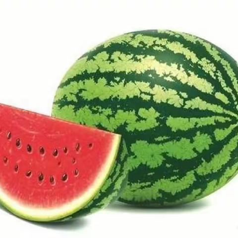 高桥幼儿园小一班手工——“西瓜🍉扇子”