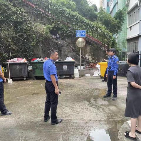 【西丽街道】以检促分类，10月10日生活垃圾分类专项执法工作报告